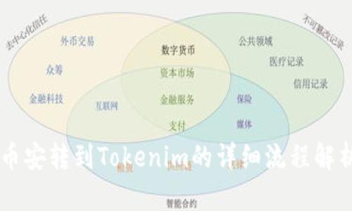 币安转到Tokenim的详细流程解析