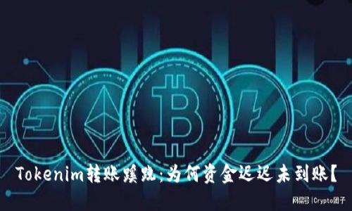 Tokenim转账蹊跷：为何资金迟迟未到账？