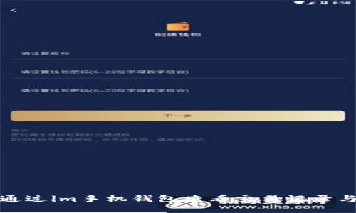 如何通过im手机钱包查看交易记录与余额