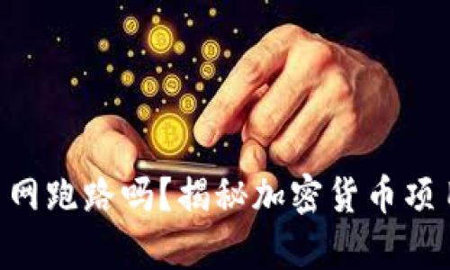 Tokenim会关网跑路吗？揭秘加密货币项目的真实风险