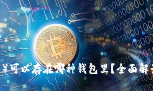 USDT（泰达币）可以存在哪种钱包里？全面解读及选择指南