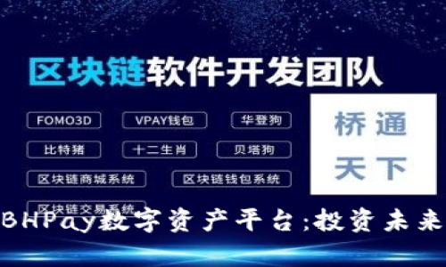 标题: 了解BHPay数字资产平台：投资未来的最佳选择