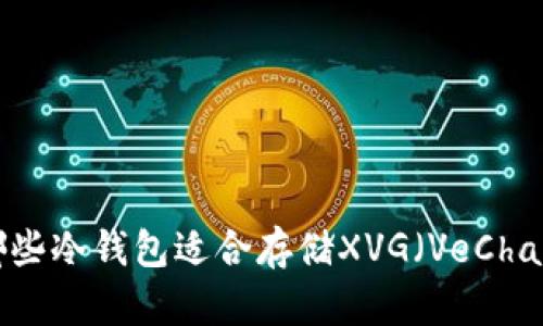 有哪些冷钱包适合存储XVG（VeChain）？