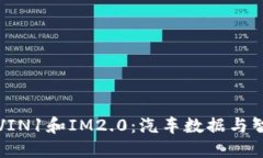 “深入了解VIN1和IM2.0：汽车数据与智能化未来”