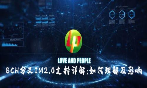 BCH分叉IM2.0支持详解：如何理解及影响