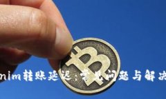 Tokenim转账延迟：常见问题