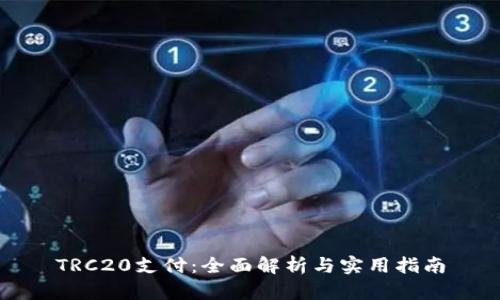 TRC20支付：全面解析与实用指南