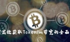 如何高效获取Tokenim带宽的