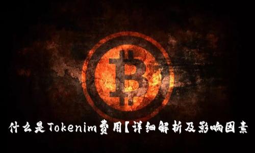 什么是Tokenim费用？详细解析及影响因素