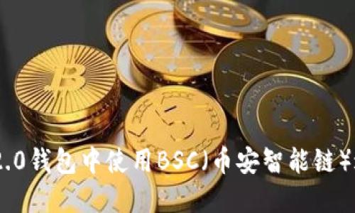 如何在imToken 2.0钱包中使用BSC（币安智能链）进行加密资产管理