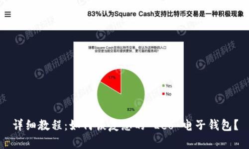 详细教程：如何恢复您的 Leo 电子钱包？