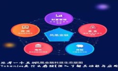 思考一个且的  Tokenim是什么存储？深入了解其功