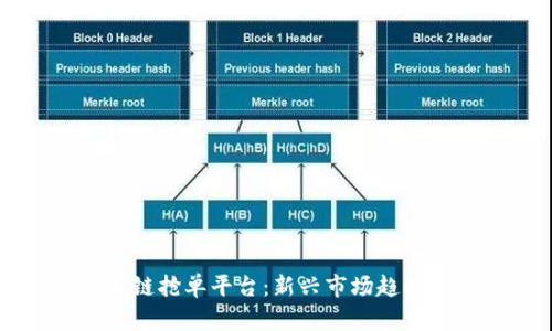 区块链抢单平台：新兴市场趋势解析