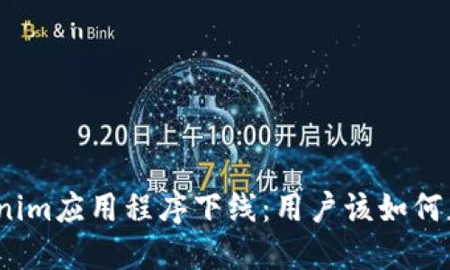 Tokenim应用程序下线：用户该如何应对？