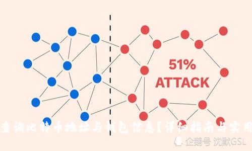 如何查询比特币地址与钱包信息？详细指南与实用技巧