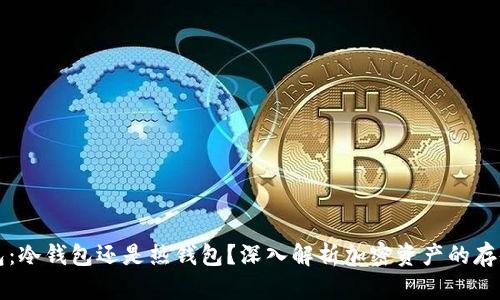 TP钱包：冷钱包还是热钱包？深入解析加密资产的存储方式