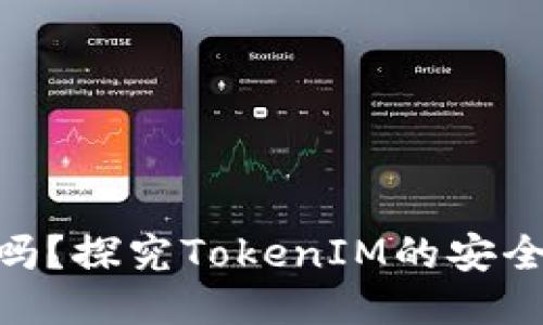 TokenIM安全吗？探究TokenIM的安全性与隐私保护