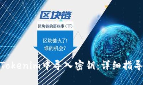 如何在Tokenim中导入密钥：详细指导与步骤