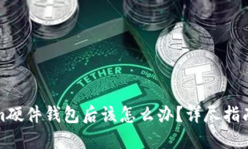 丢失Tokenim硬件钱包后该怎么办？详尽指南与解决措施