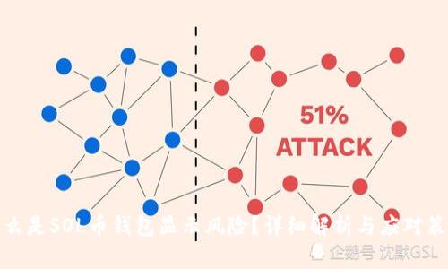 什么是SOL币钱包显示风险？详细解析与应对策略