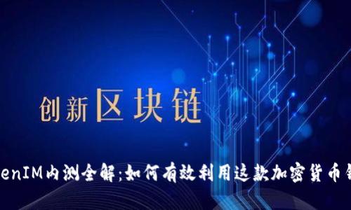 TokenIM内测全解：如何有效利用这款加密货币钱包