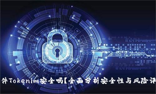 软件Tokenim安全吗？全面分析安全性与风险评估