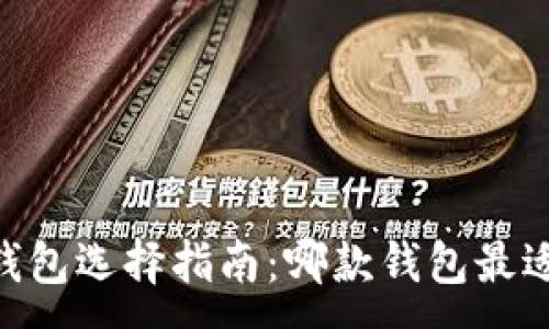 :
USDT钱包选择指南：哪款钱包最适合您？