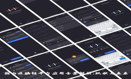 国内区块链平台应用全景解析：现状与未来