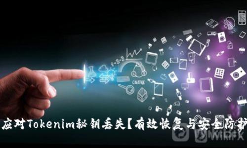 如何应对Tokenim秘钥丢失？有效恢复与安全防护指南