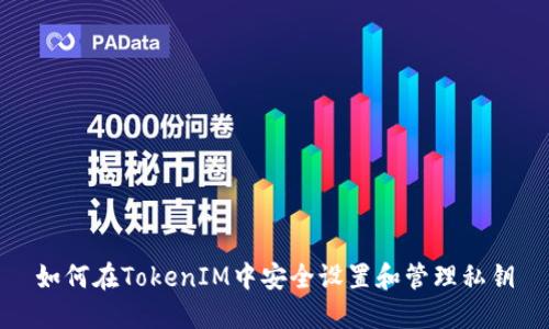 如何在TokenIM中安全设置和管理私钥