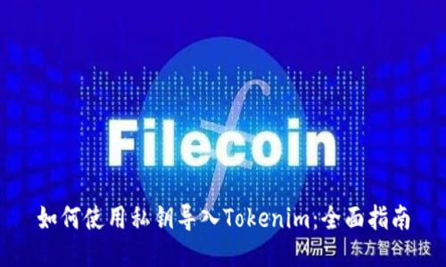 如何使用私钥导入Tokenim：全面指南