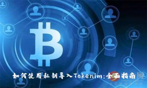 如何使用私钥导入Tokenim：全面指南