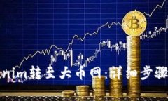 如何将Tokenim转至大币网：