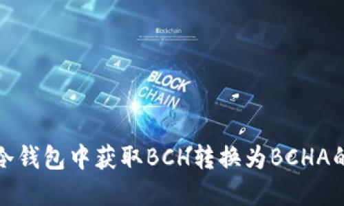 如何在冷钱包中获取BCH转换为BCHA的全攻略