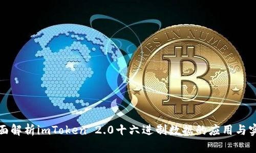 全面解析imToken 2.0十六进制数据的应用与实现