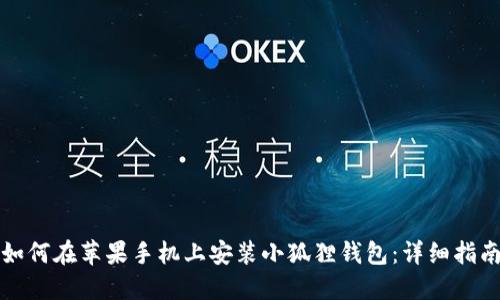 如何在苹果手机上安装小狐狸钱包：详细指南