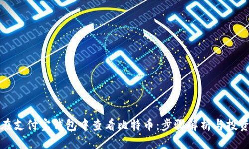如何在支付宝钱包中查看比特币：步骤解析与投资指南