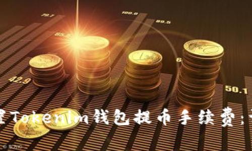 如何设置Tokenim钱包提币手续费：详细指南