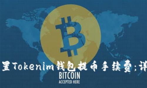 如何设置Tokenim钱包提币手续费：详细指南