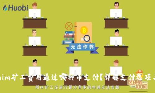 Tokenim矿工费用通过哪种币支付？详解支付选项与流程