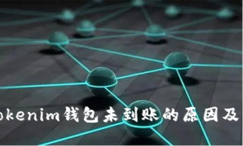提币到Tokenim钱包未到账的原因及解决方案
