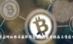 如何应对比特币国际钱包丢失？实用指南与情感