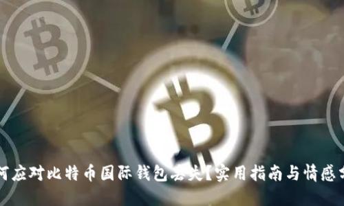 如何应对比特币国际钱包丢失？实用指南与情感分享