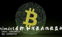 探索Tokenimdot质押：如何最大化收益的实用指南
