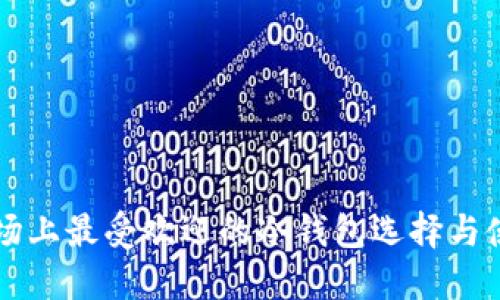 中国市场上最受欢迎的冷钱包选择与使用指南