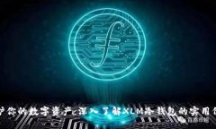 保护你的数字资产：深入了解XLM冷钱包的实用价