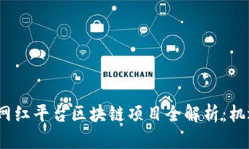 2023年热门网红平台区块链项目全解析：机遇与挑战并存