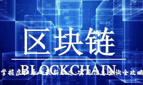 掌握虚拟币的最新动态：实用信息查询全攻略