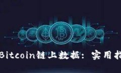 如何高效查询Bitcoin链上数据: 实用指南与工具推