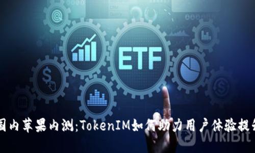 国内苹果内测：TokenIM如何助力用户体验提升